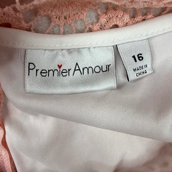 Premier Amour Womens Pink Crochet Lace Sheath Dress Size 16 NWT Barbie core - Picture 3 of 11